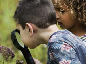 Twee kinderen die met een vergrootglas naar een bloem kijken